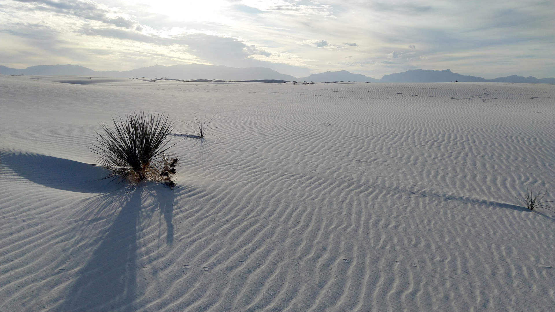 White Sands National Park